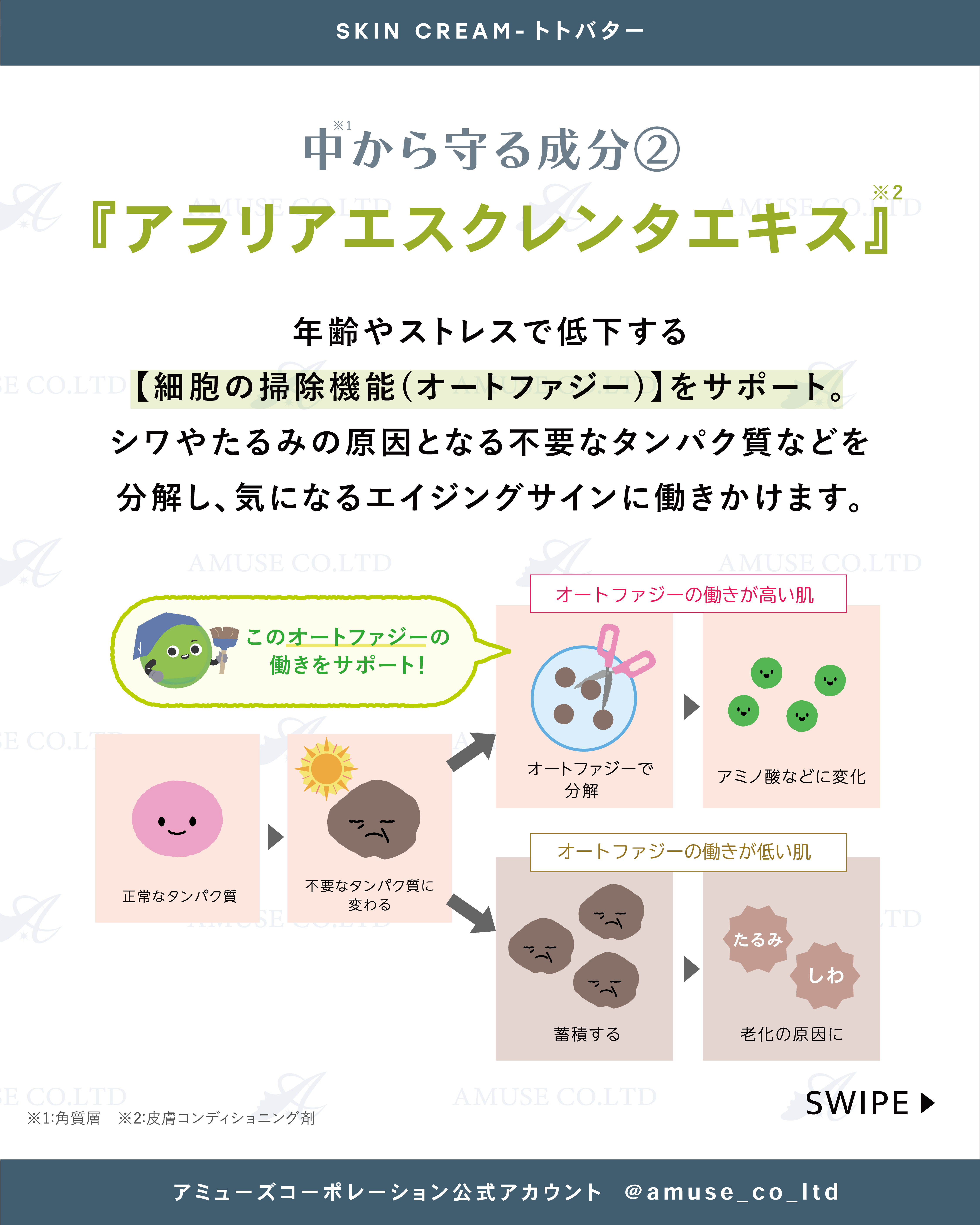 totoBUTTER (トトバター) 30g | 美容商材ならAマーケット！